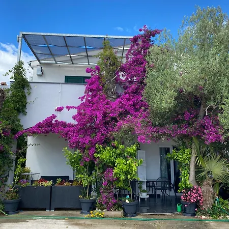 Hrga Apartman Srima